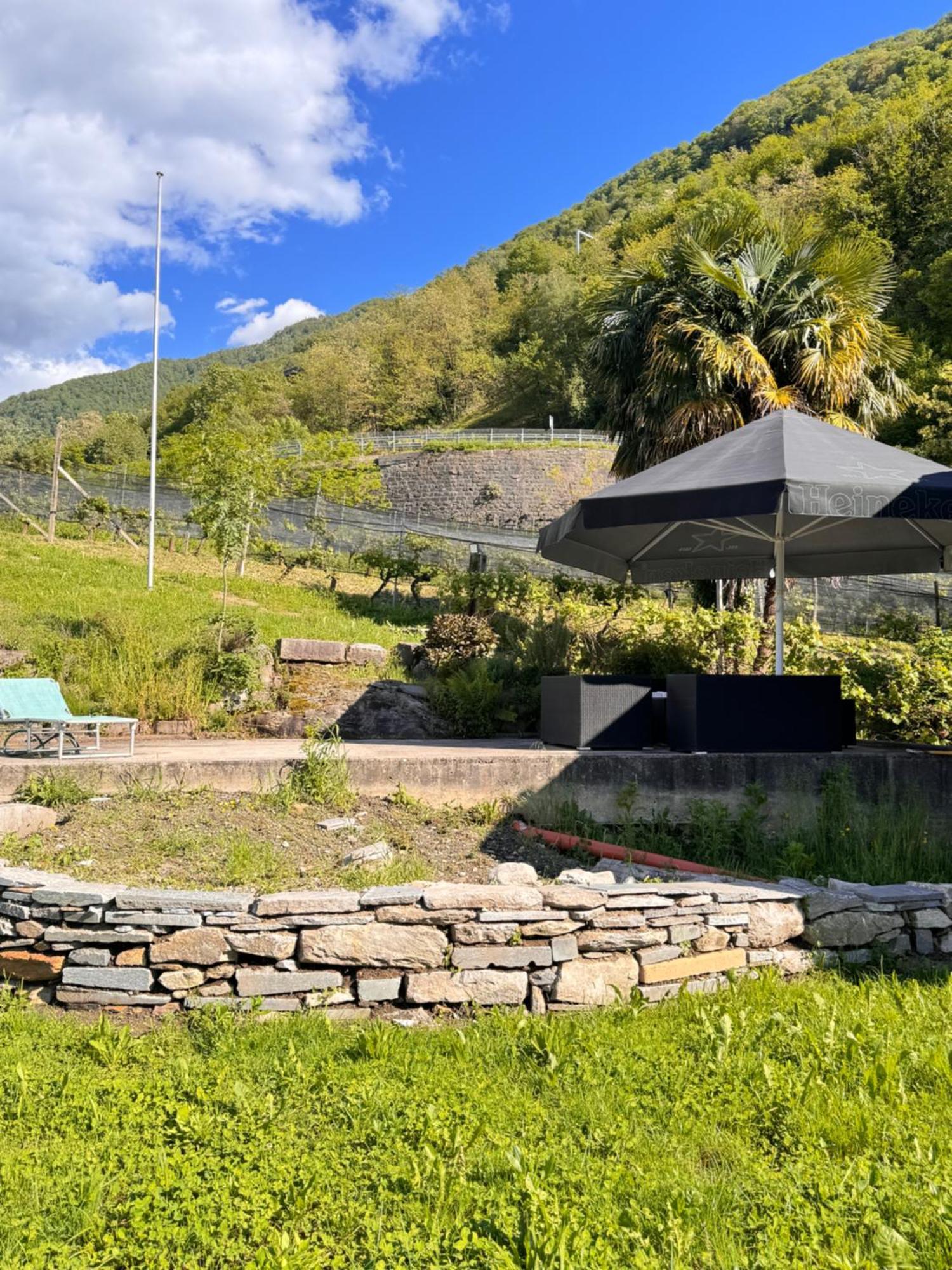 GambarognoViva Bacco住宿加早餐旅馆 外观 照片