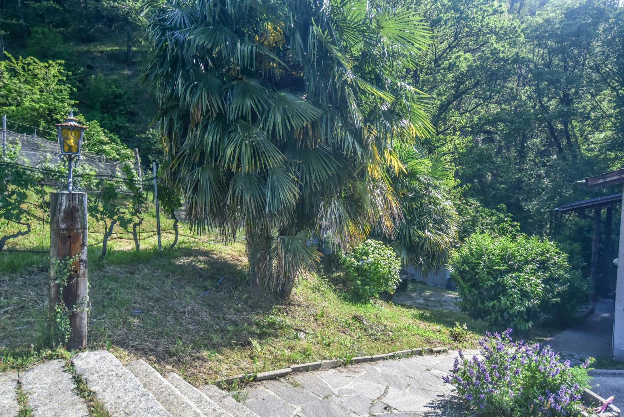 GambarognoViva Bacco住宿加早餐旅馆 外观 照片