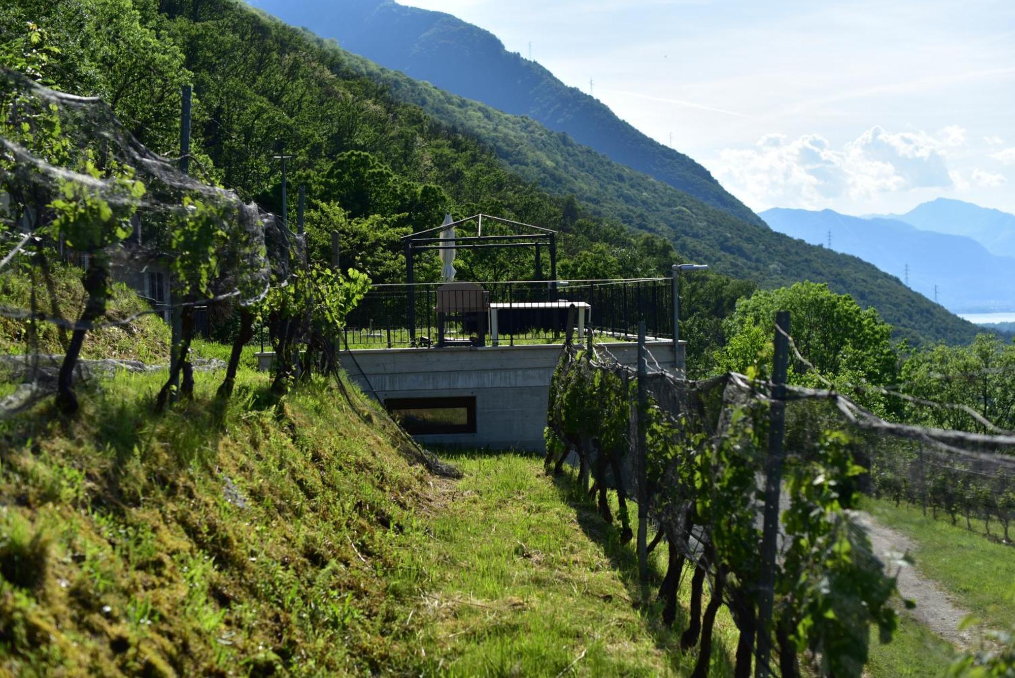 GambarognoViva Bacco住宿加早餐旅馆 外观 照片
