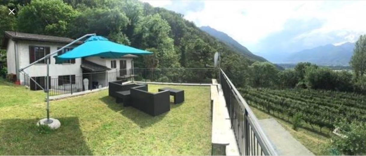 GambarognoViva Bacco住宿加早餐旅馆 外观 照片