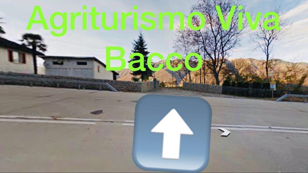 GambarognoViva Bacco住宿加早餐旅馆 外观 照片