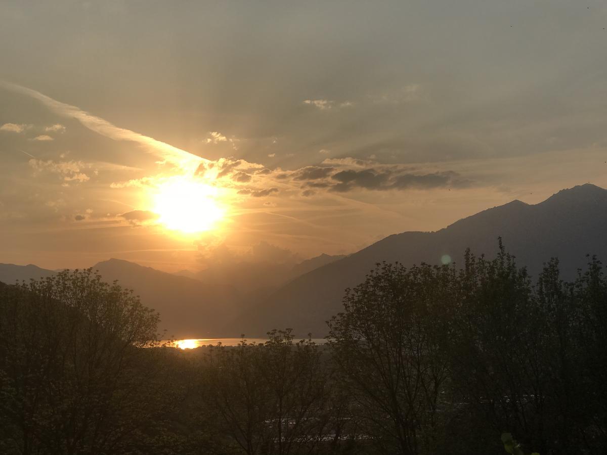 GambarognoViva Bacco住宿加早餐旅馆 外观 照片